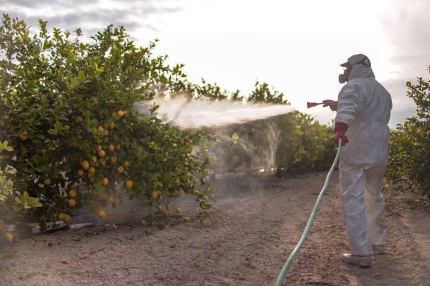 Best Pest Control Near Me  in South Portland, ME