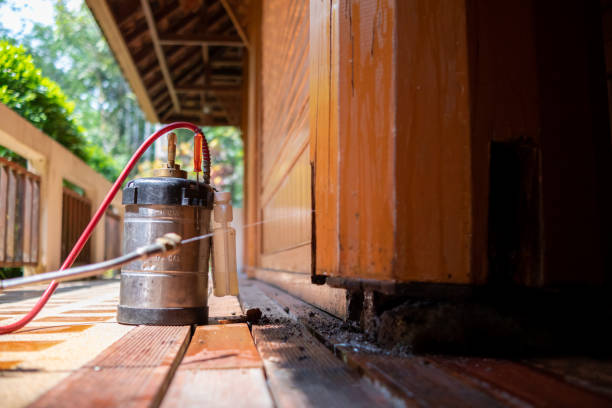 Best Termite Control Services  in South Portland, ME
